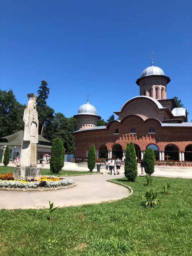Pensiune Montana Curtea De Arges Luaran gambar